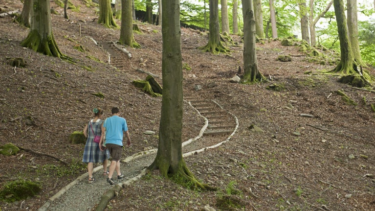 Visitors exploring the woodland trails around Allan Bank, Grasmere, Cumbria.